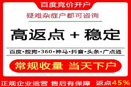 SEM托管成功案例：揭秘高效广告投放策略